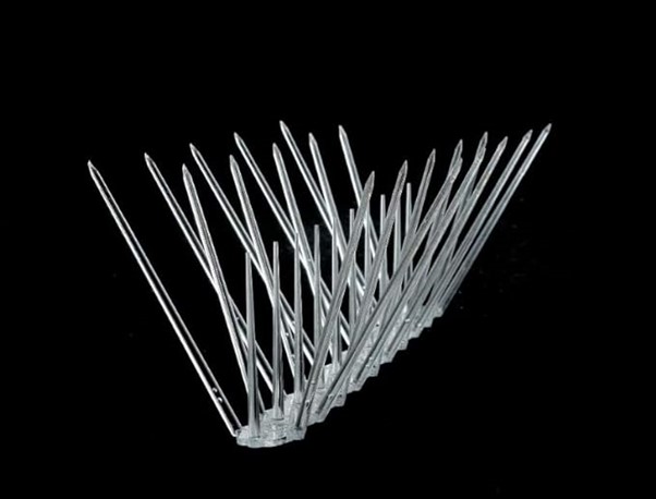 Bird Spikes Installation